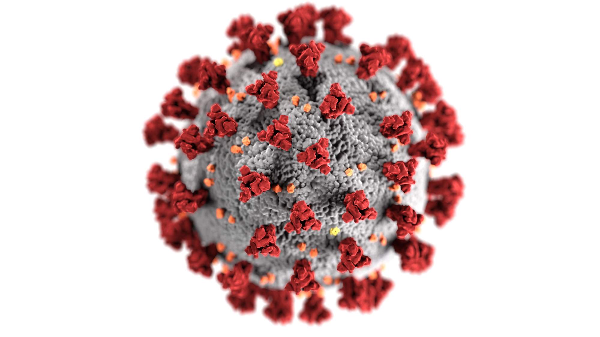 The Potential Effects Of COVID-19 Virus
