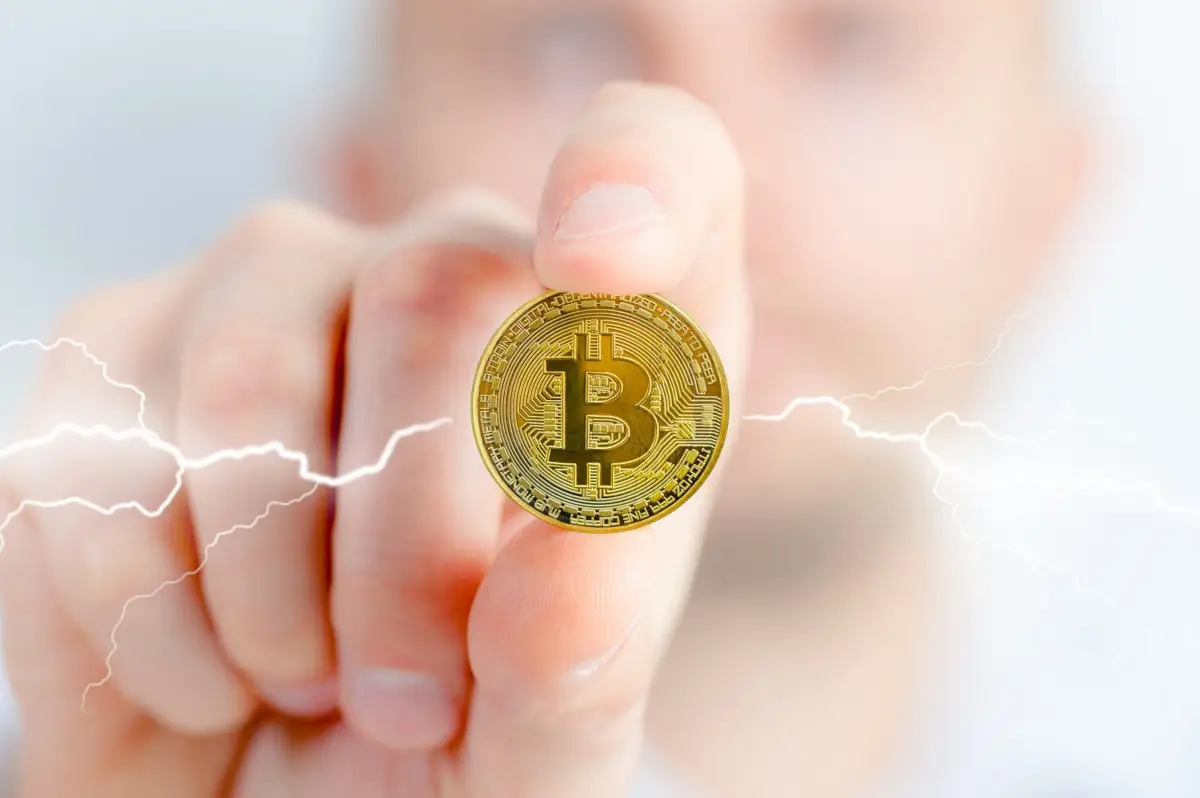 Bitcoin Lightning Network Economy